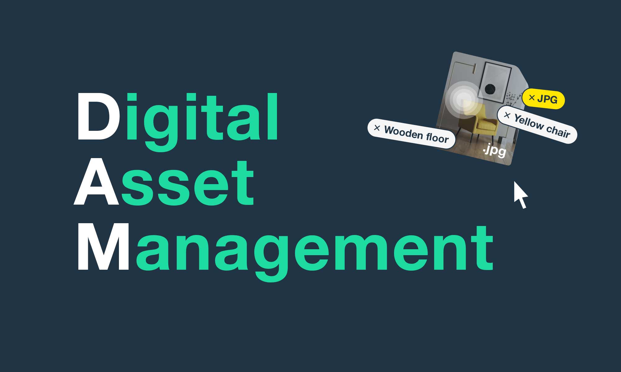 Ultimate guide to choosing a Digital Asset Management tool