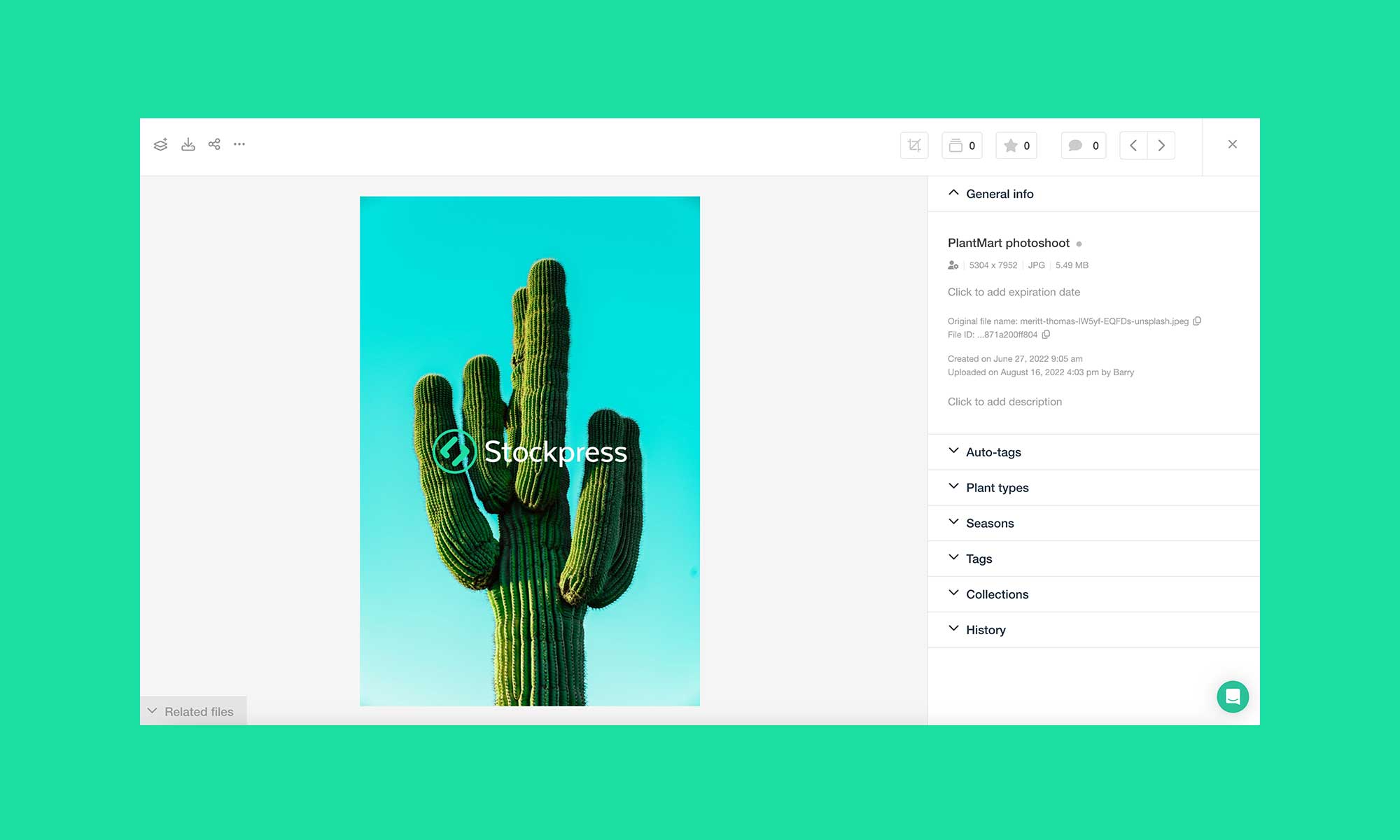 How watermarks can protect your files - Stockpress