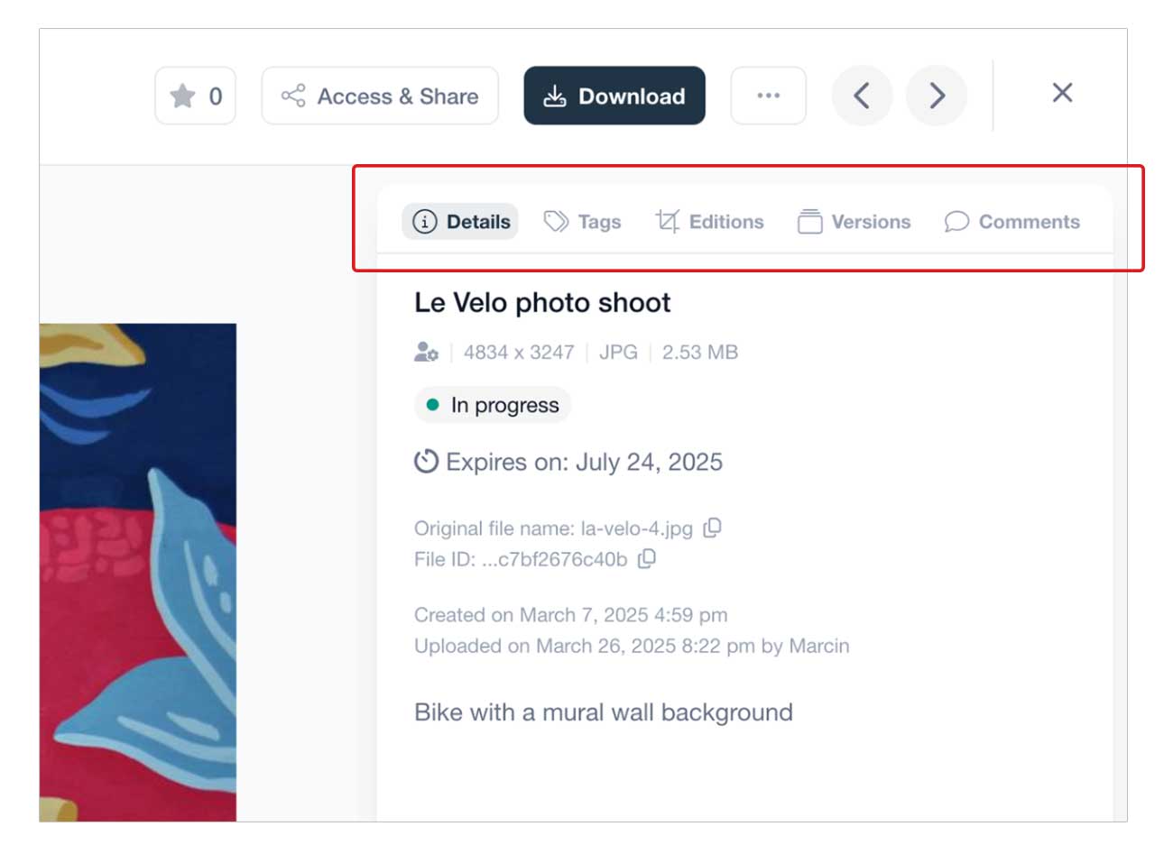 Tabbed navigation on single file view