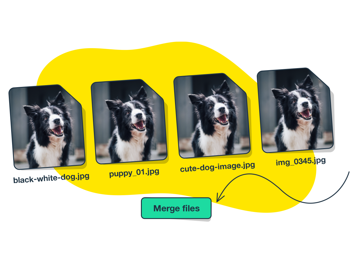 Spot duplicates before they cause problems
