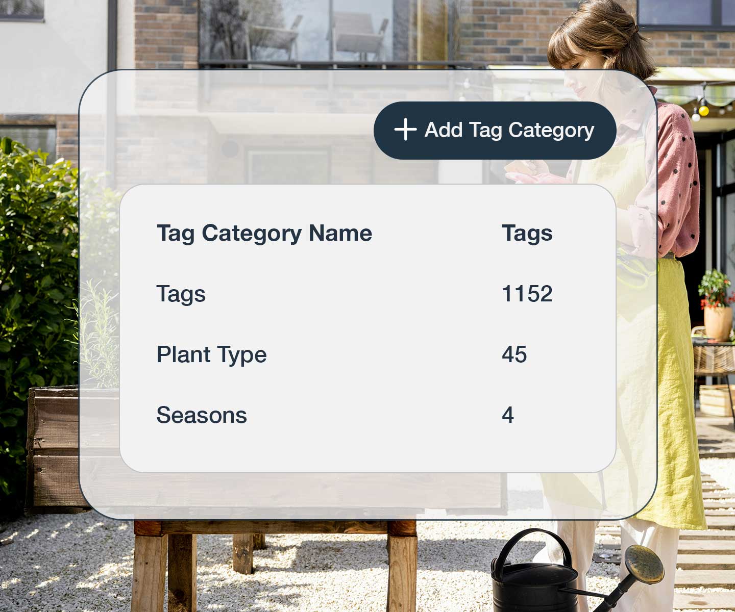 Unlimited custom Tag Categories