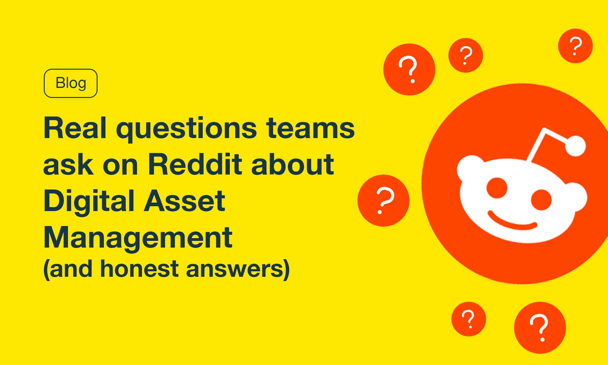 Reddit Questions List Image Real DAM Questions From Reddit (And Honest Answers)