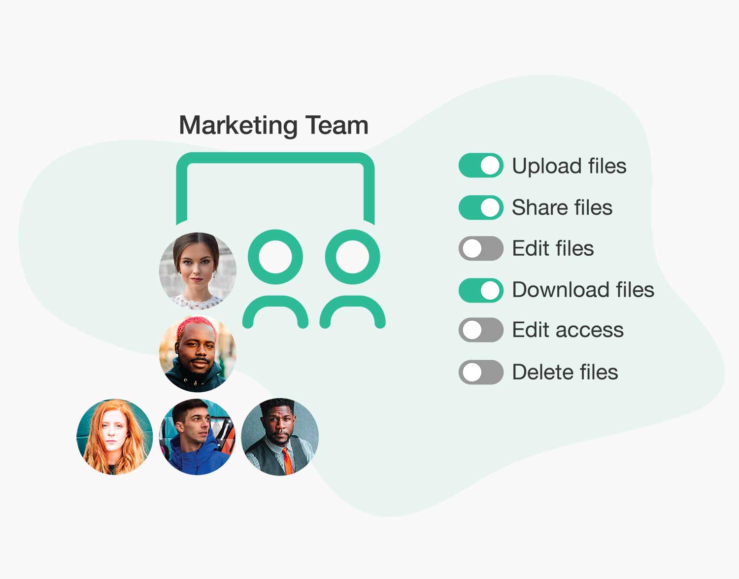 User roles and teams